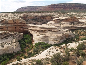 Natural Bridges